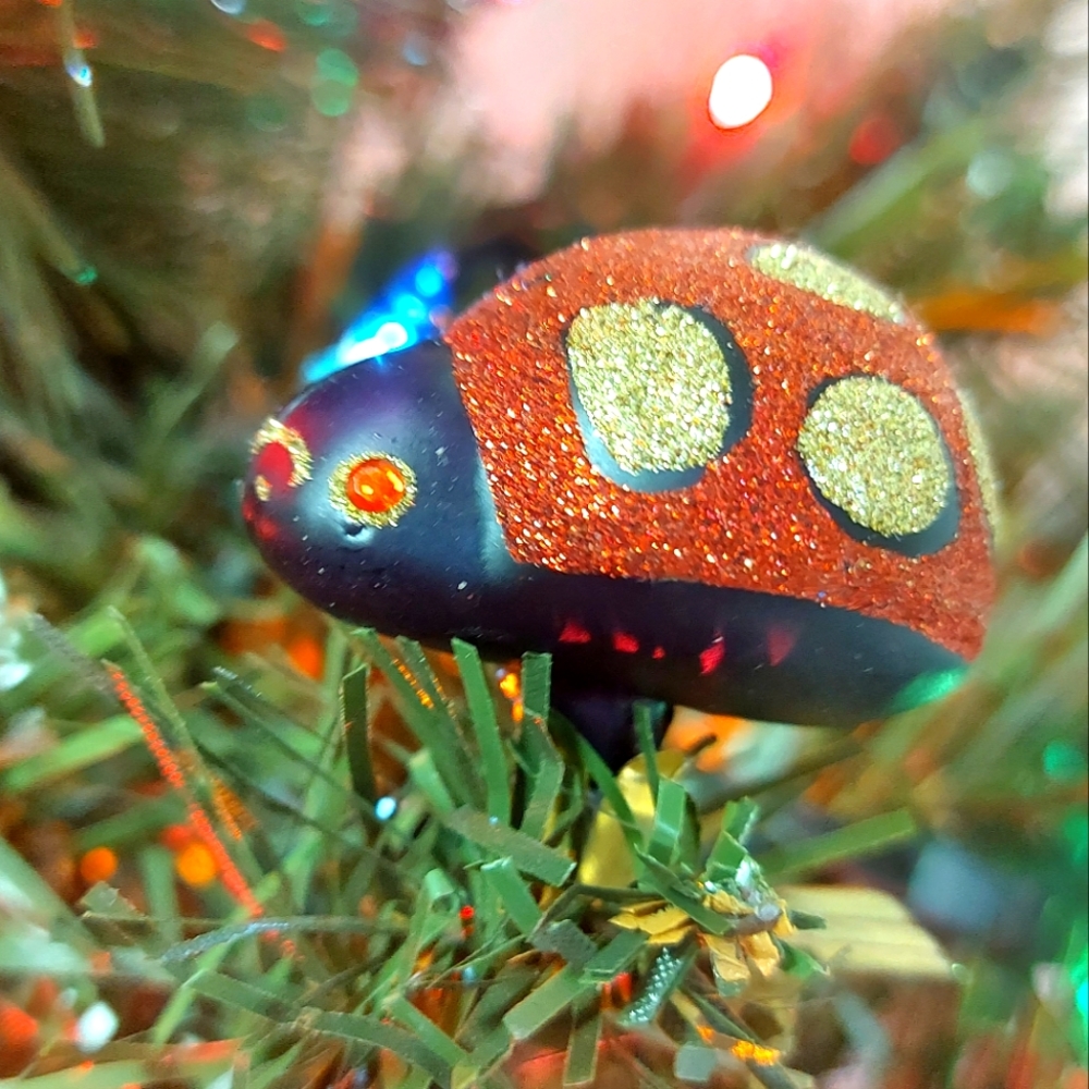 3 for $25-🐞Whimsical Glass Lady Bug Clip🐞
